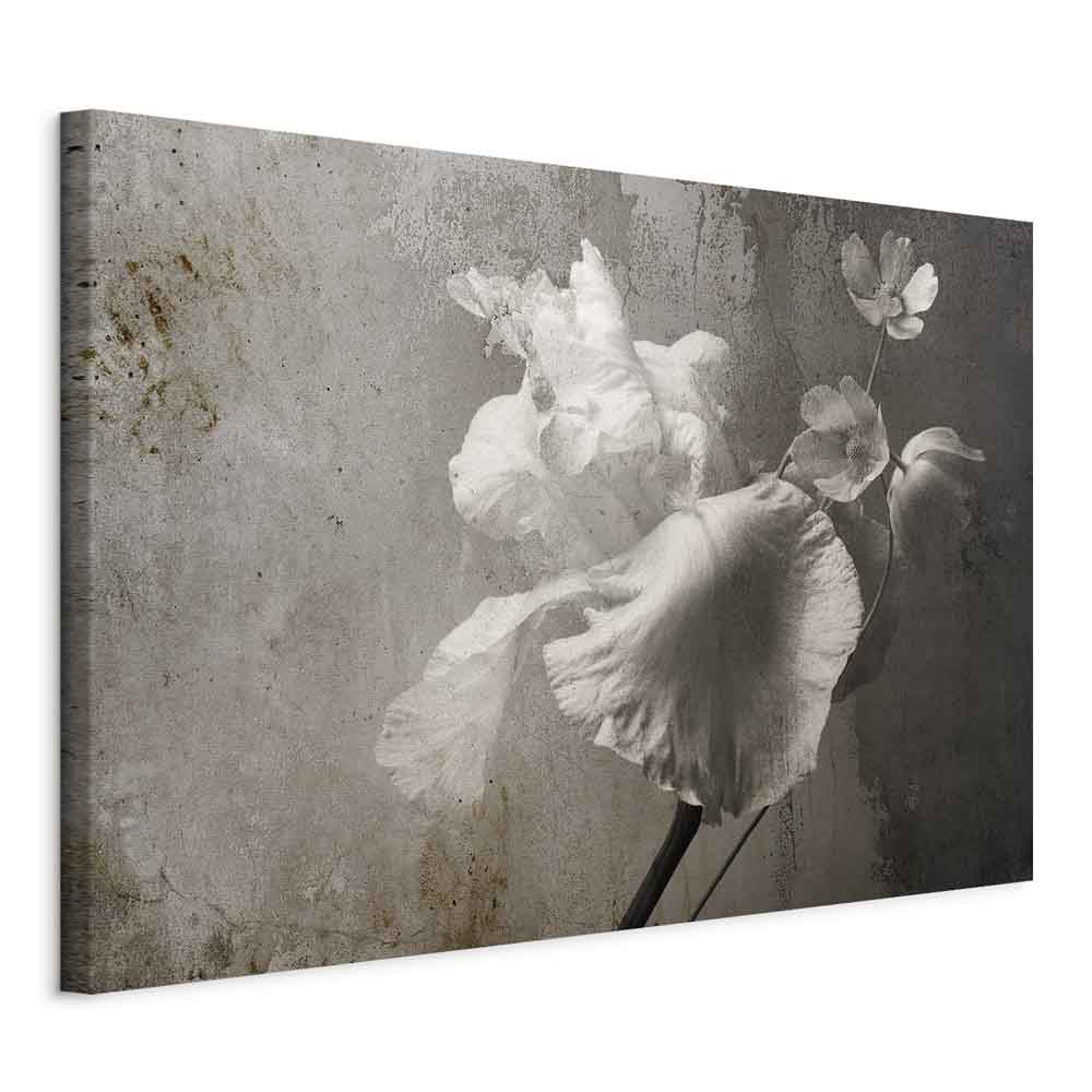 Obraz Wenecki blask 30 x 20 cm