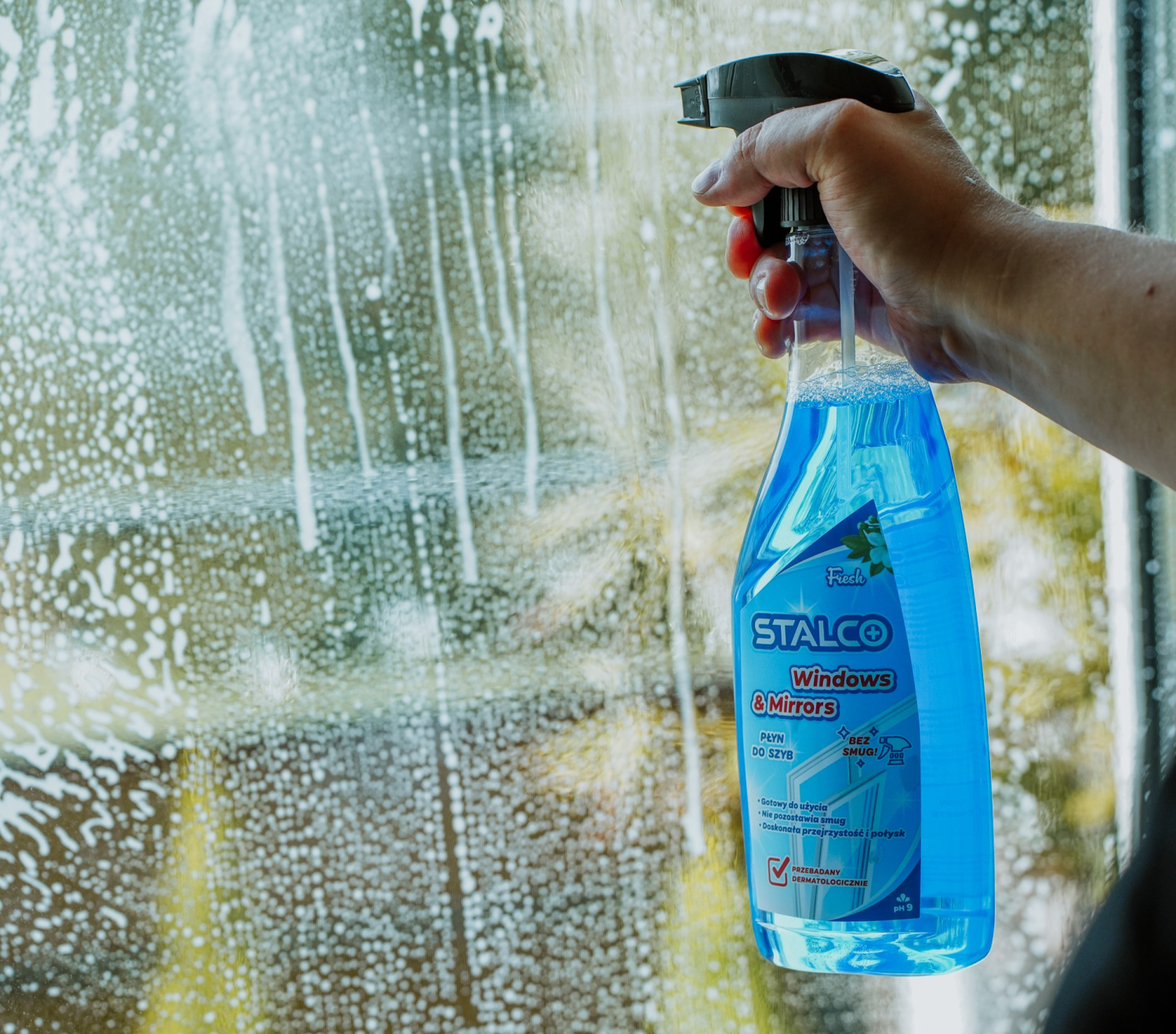 Środek do mycia luster i szyb S083264588 750 ml STALCO S083264588