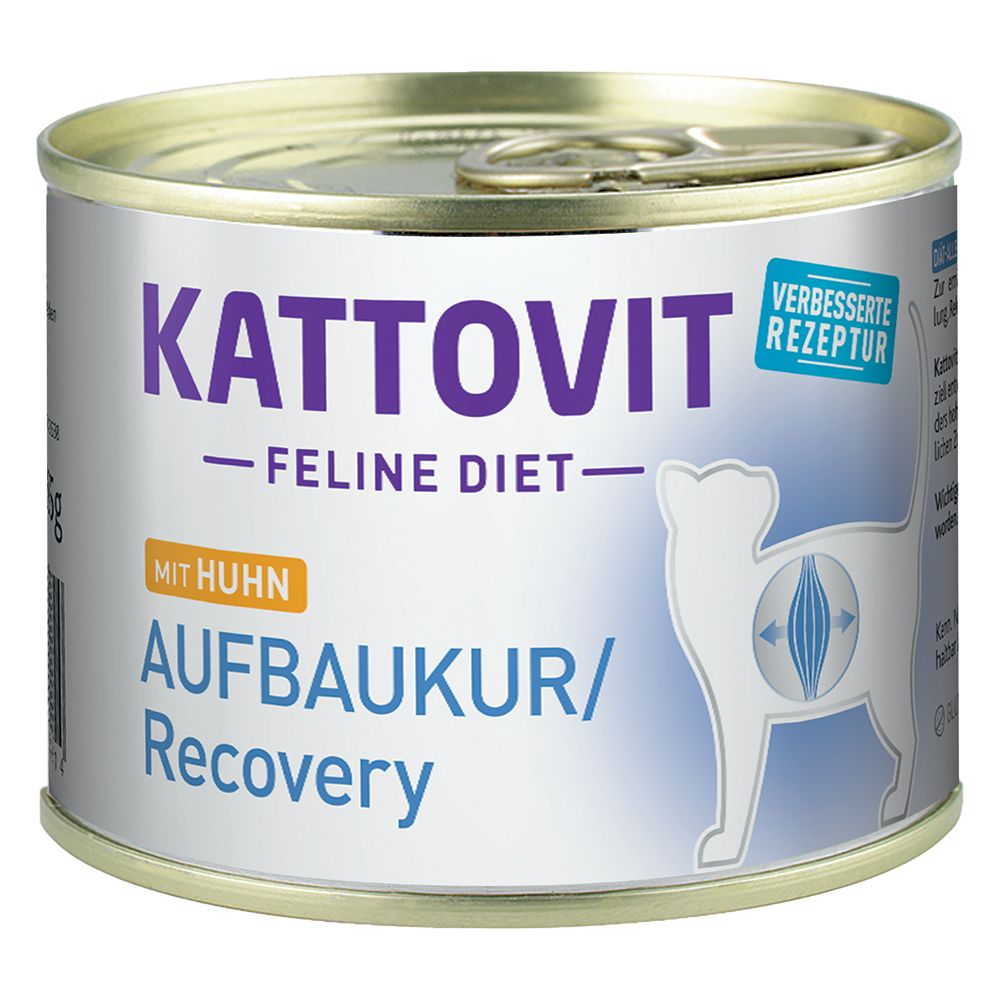 Kattovit Convalescence (Energy Plus)