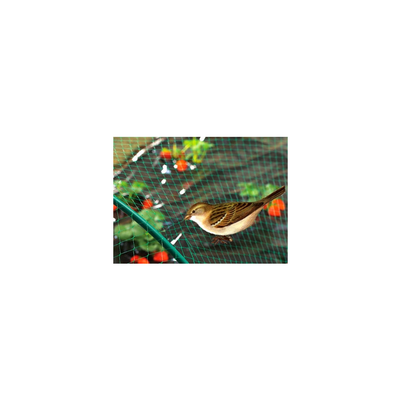 Filet de protection oiseaux Birdnet 5 x 10 m NORTENE