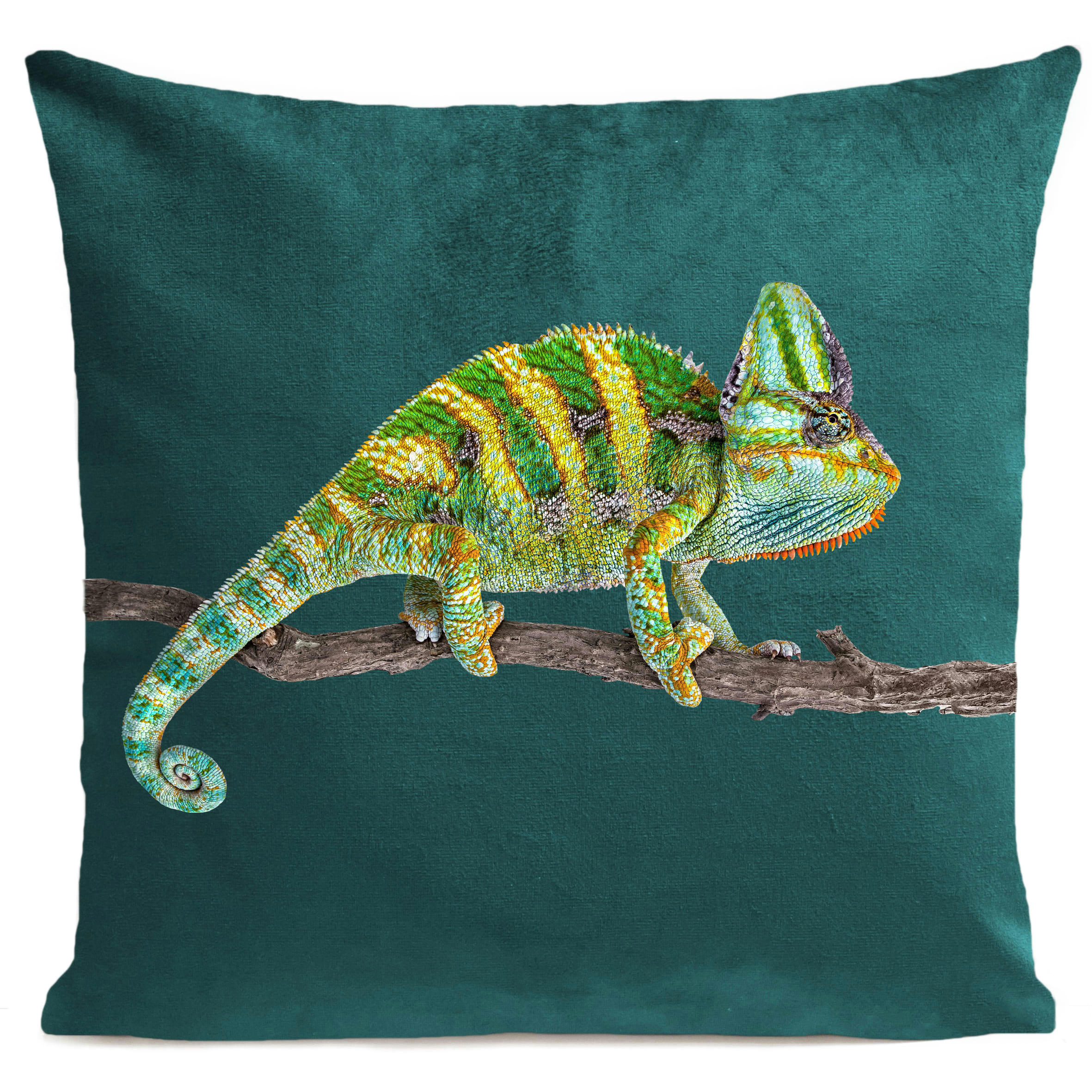 - Coussin reptile caméléon suédine vert 40x40cm