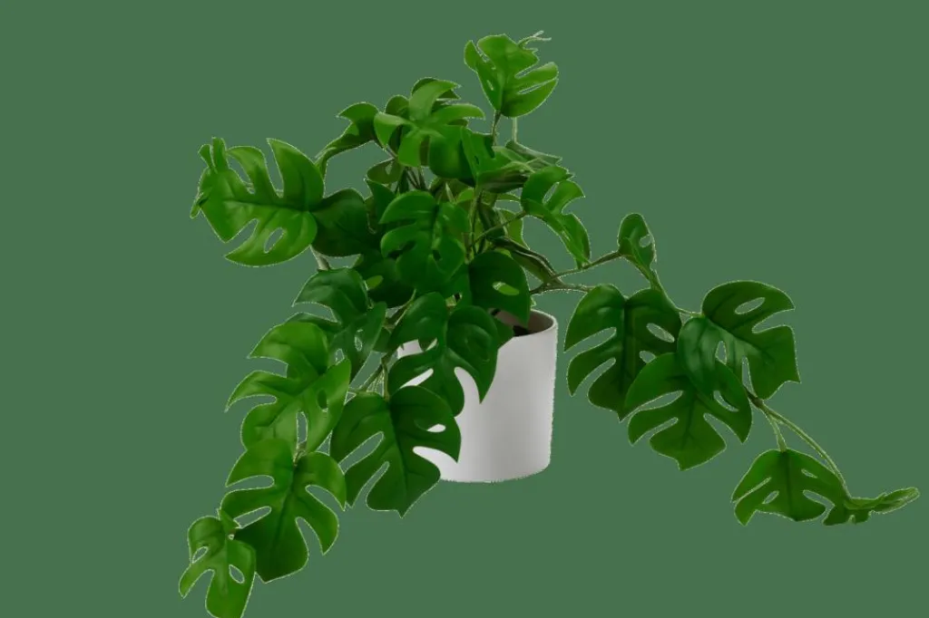 Plantes Artificielles^CASA MONSTERA Plante Diverses Couleurs, Blanc, Vert