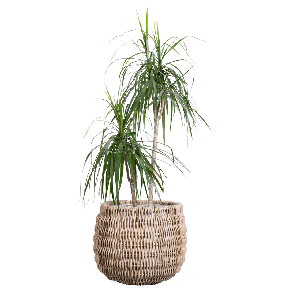 Bloempot Stephanie - Rotan - Naturel - 45x&Oslash;53 cm