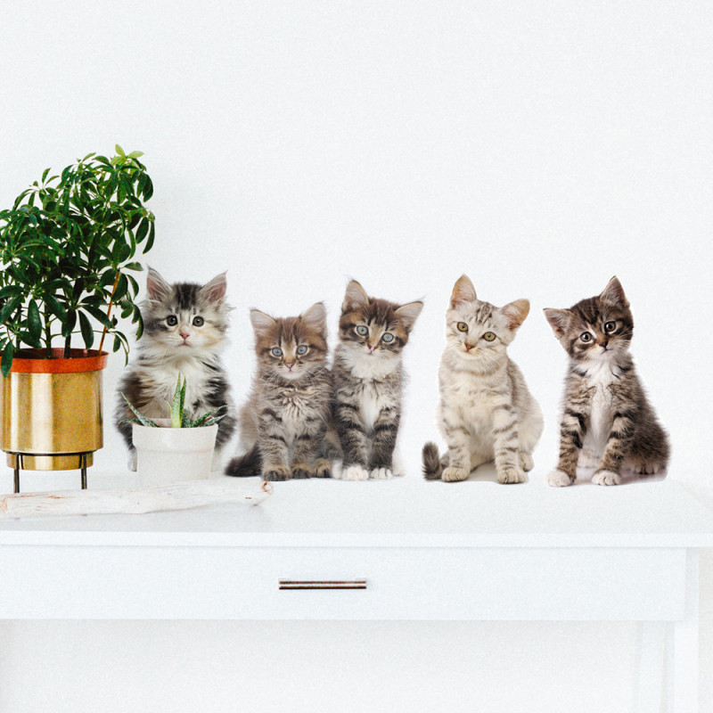 Planche de stickers Chatons 24 x 68 cm