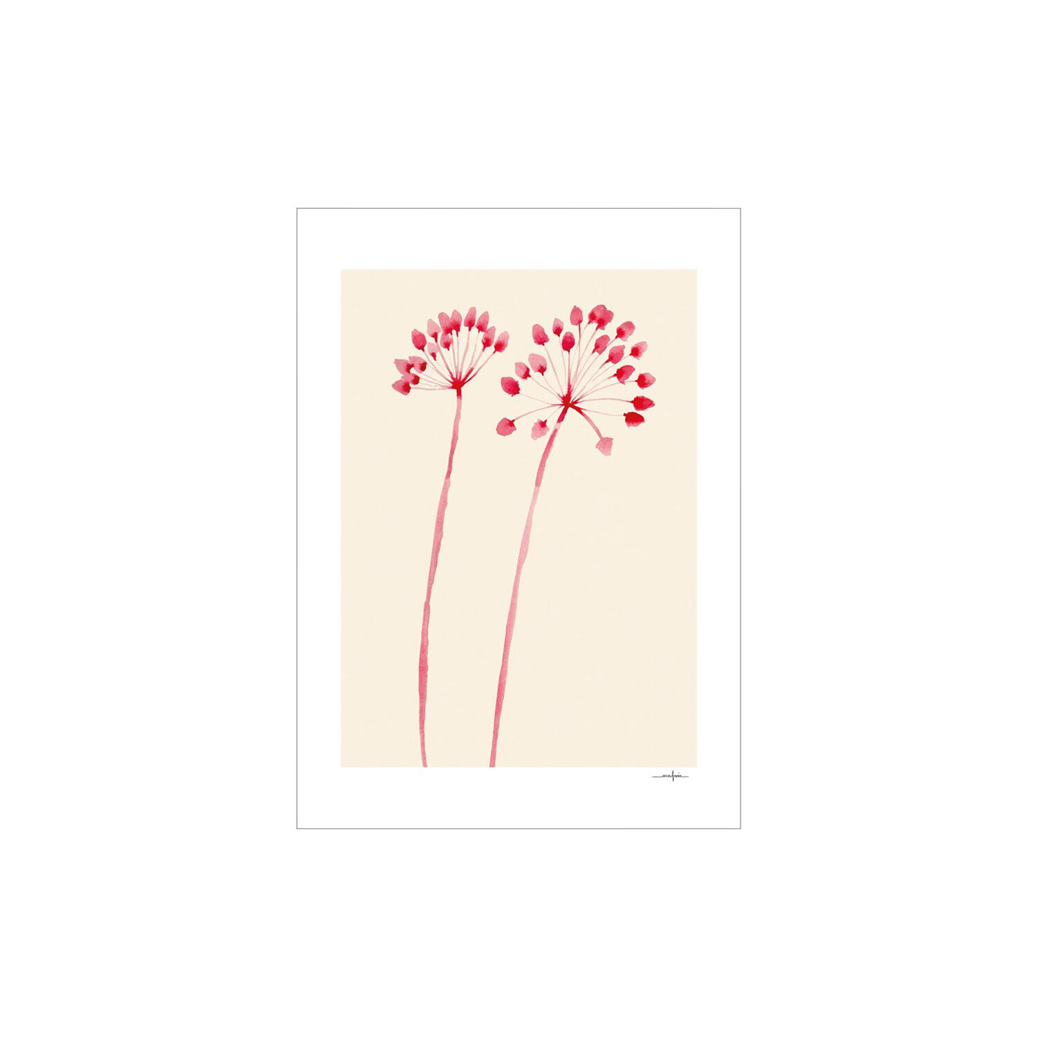 Flowers 02