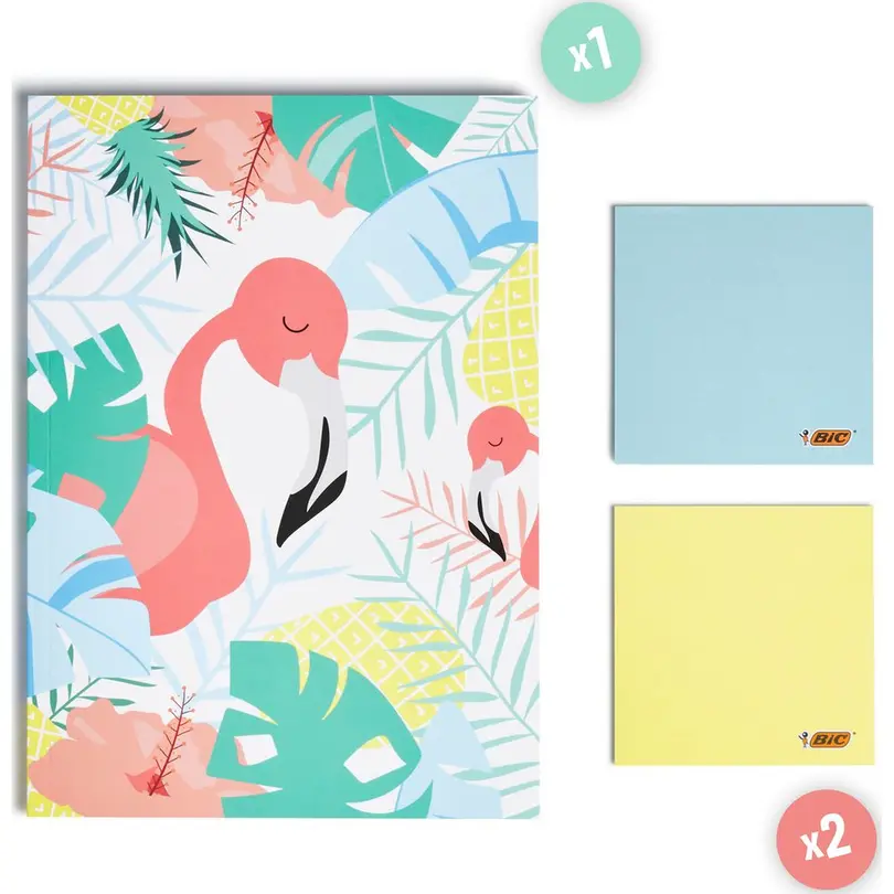 Notizbuch 25er-Set BiC