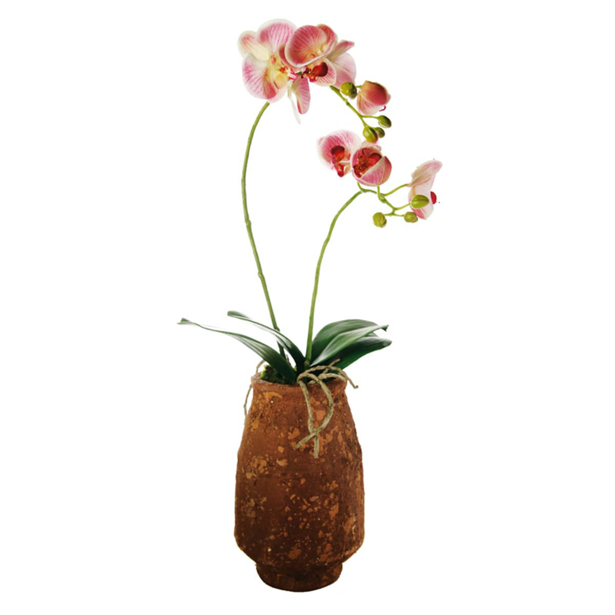 - Orchidée artificielle en pot en argile H63