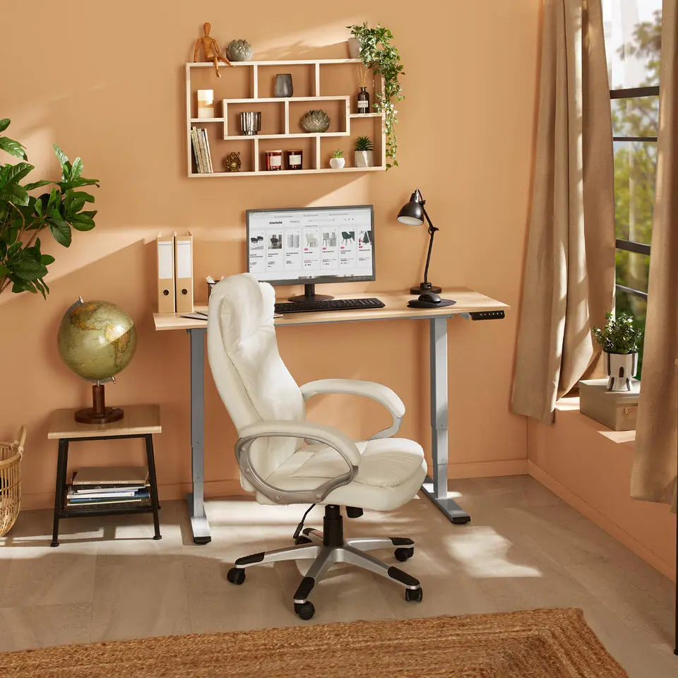 TecTake? Elektrisch In Hoogte Verstelbaar Bureau - Metalen Frame - Grijs