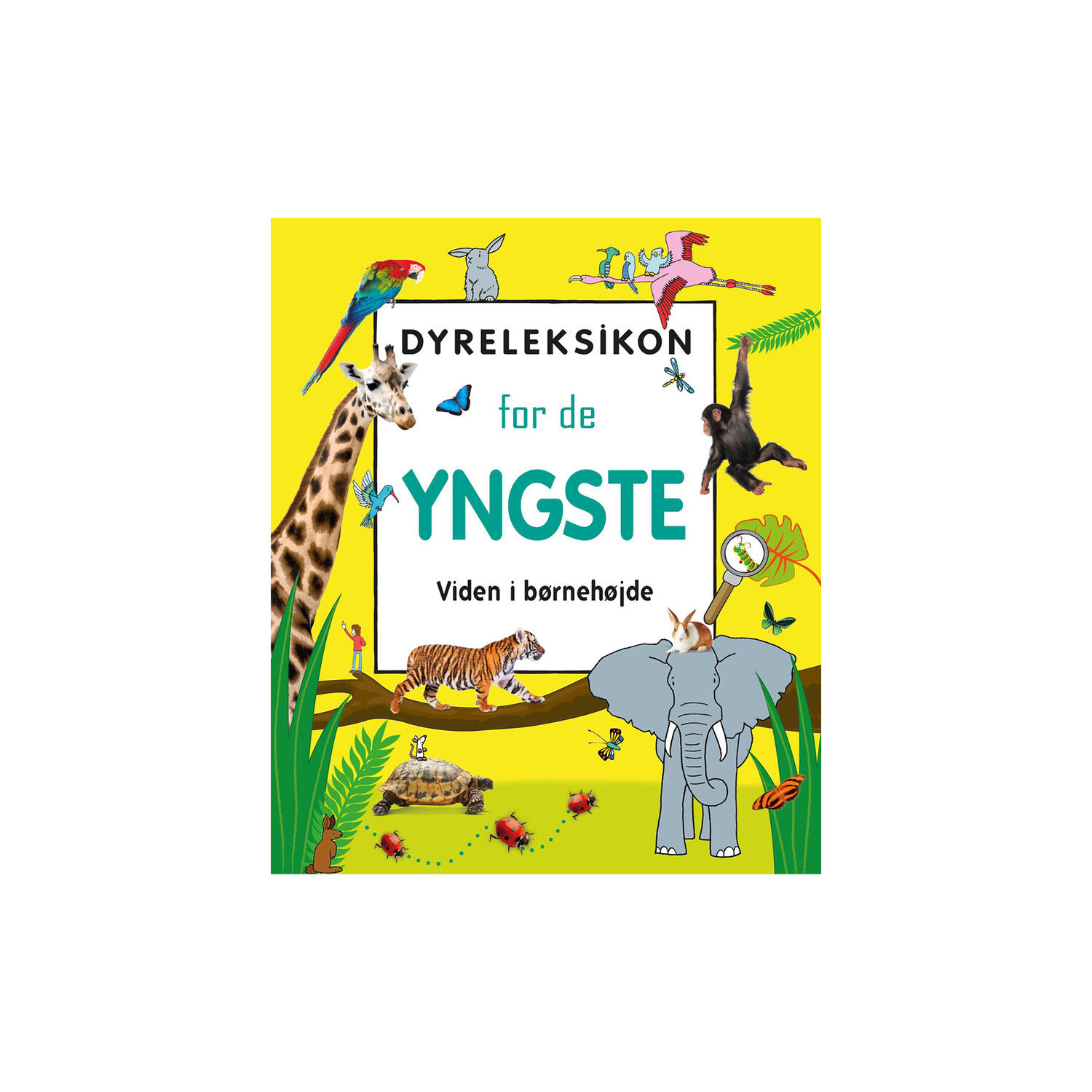 Dyreleksikon for de yngste