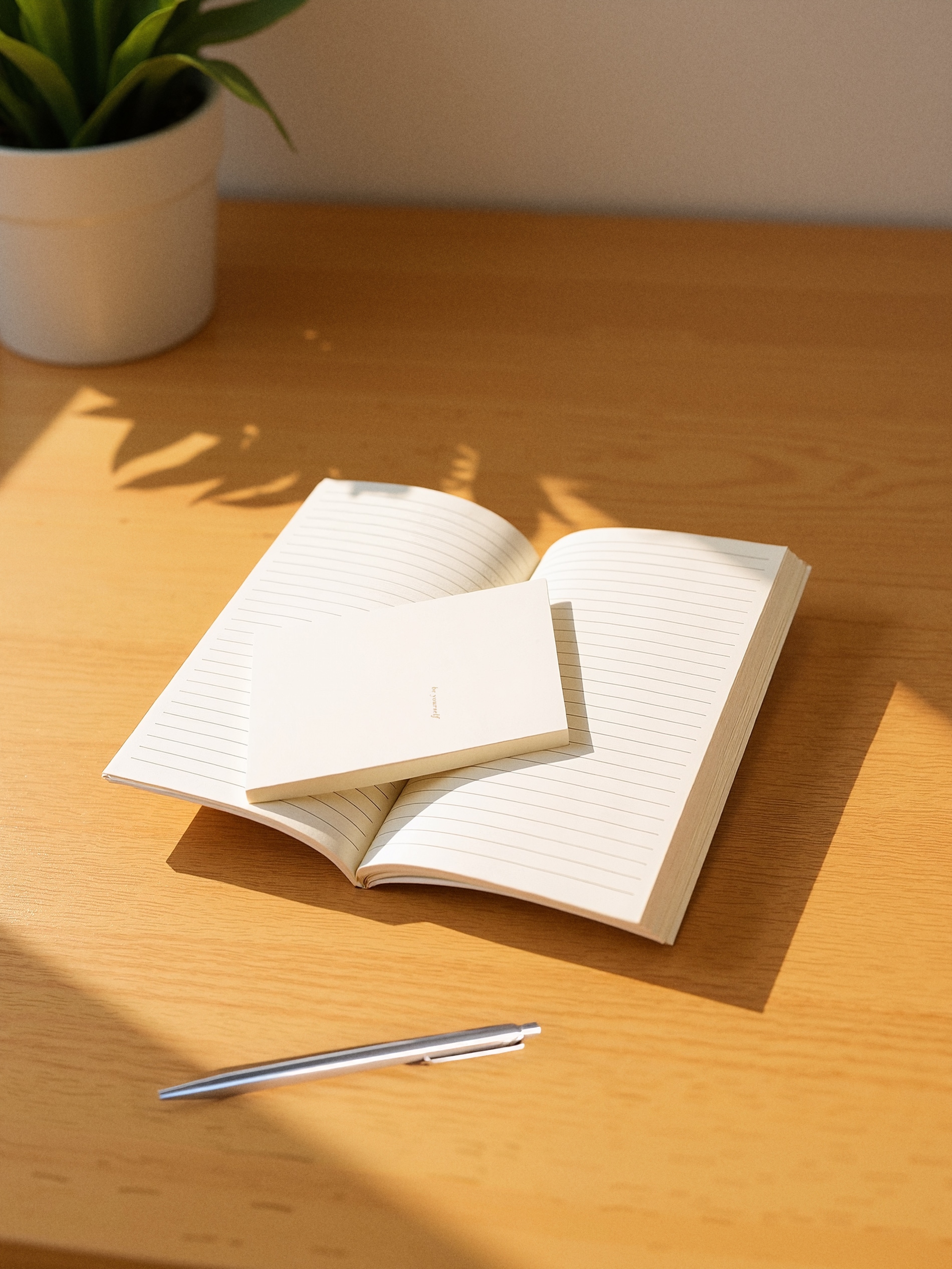 Notes 2 pack