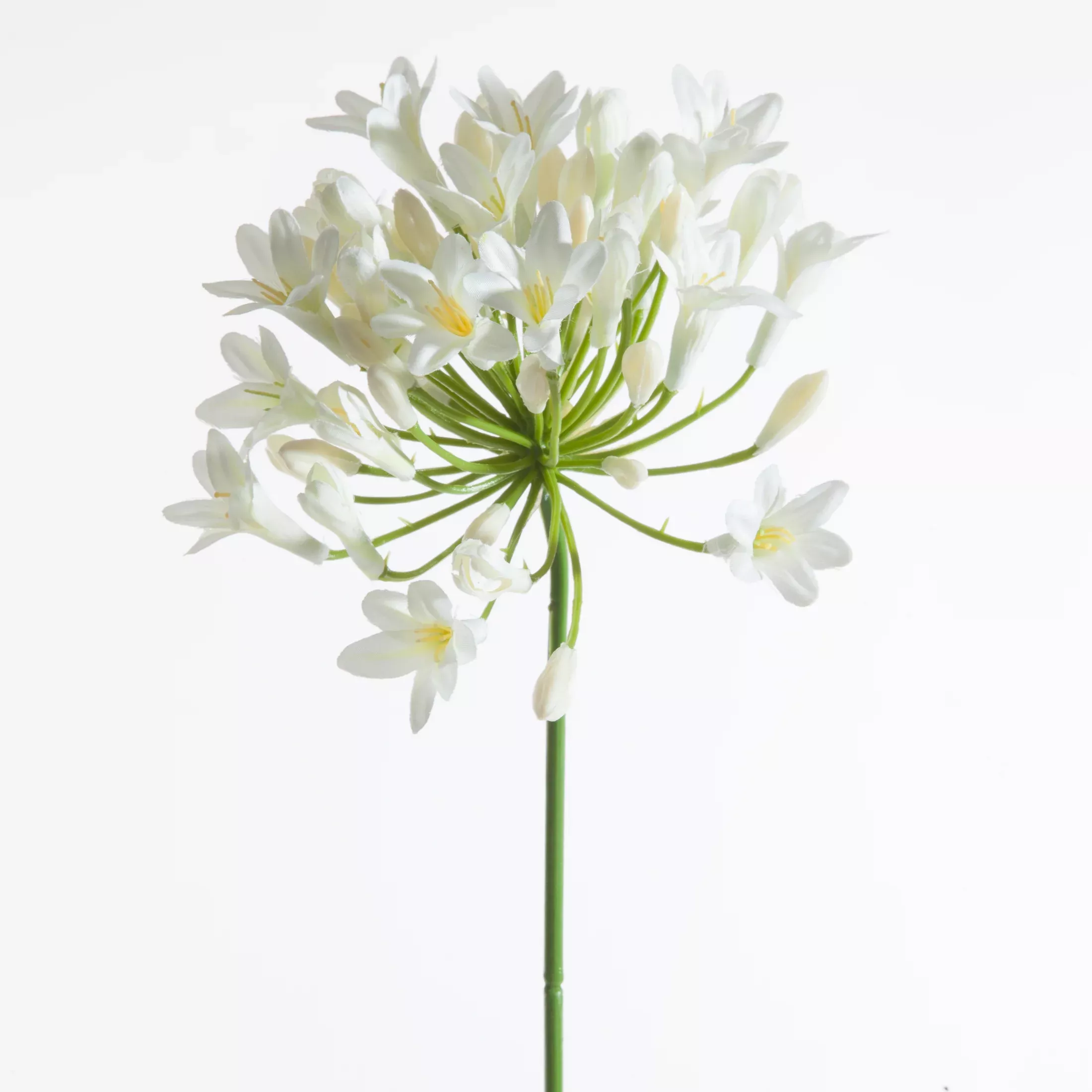 Kwiat sztuczny kremowy 76 cm