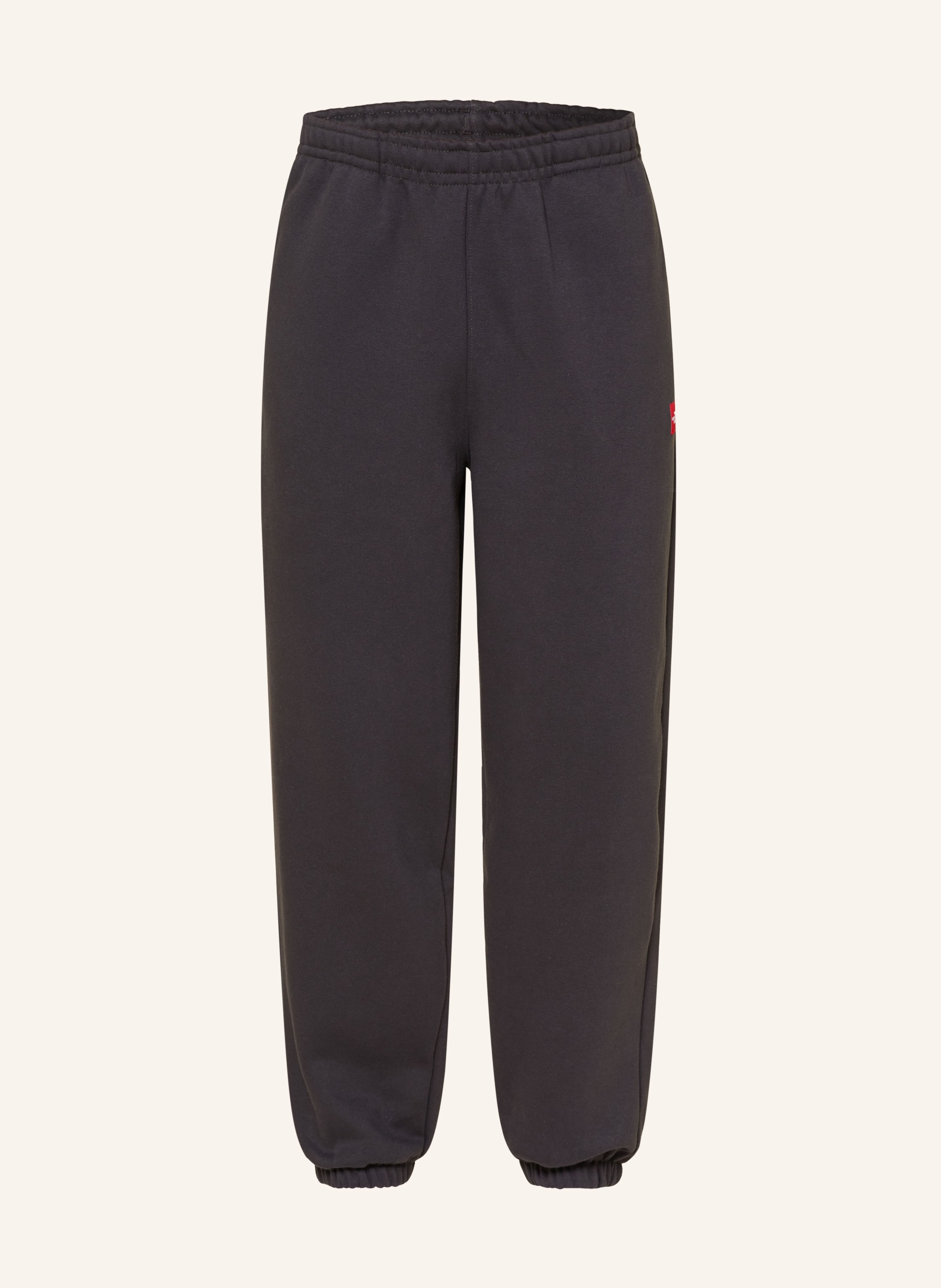 THE NORTH FACE Sweatpants REDBOX