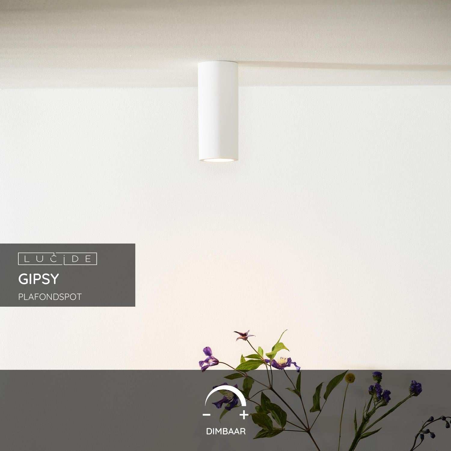 Lucide GIPSY Plafondspot - Wit