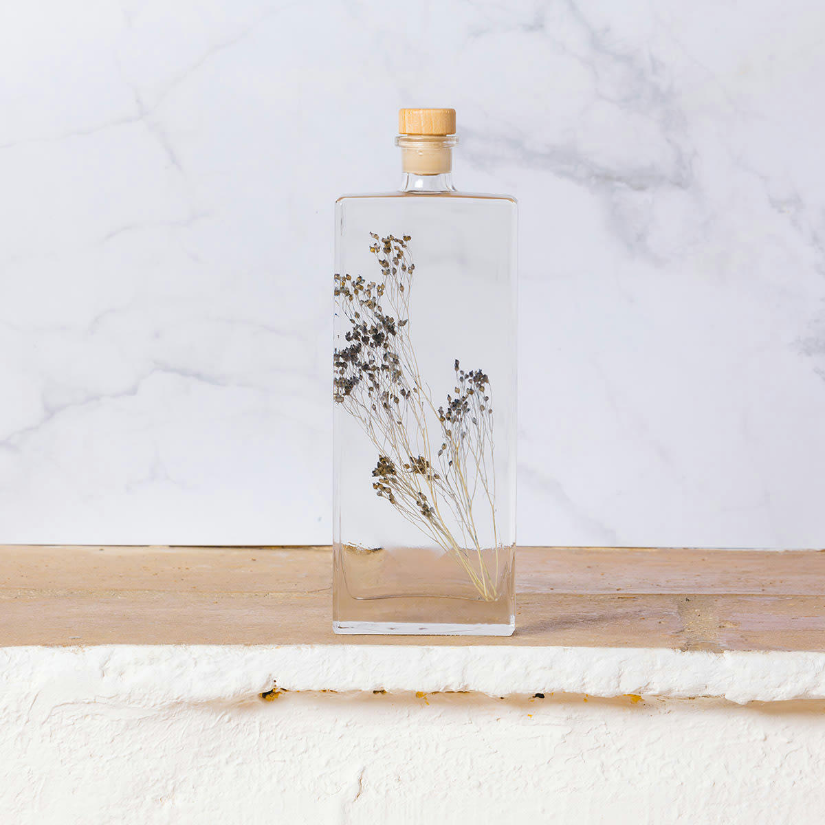 HERBARIUM DE THEOPHILE - Plante immergée Broom bleu