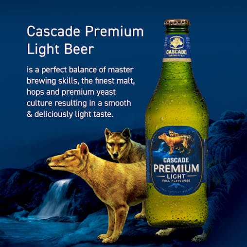 Cascade Premium Light Beer, Full Flavoured, Refreshing & Crisp Finish, 2.4% ABV, 375mL (Case of 24 Bottles)