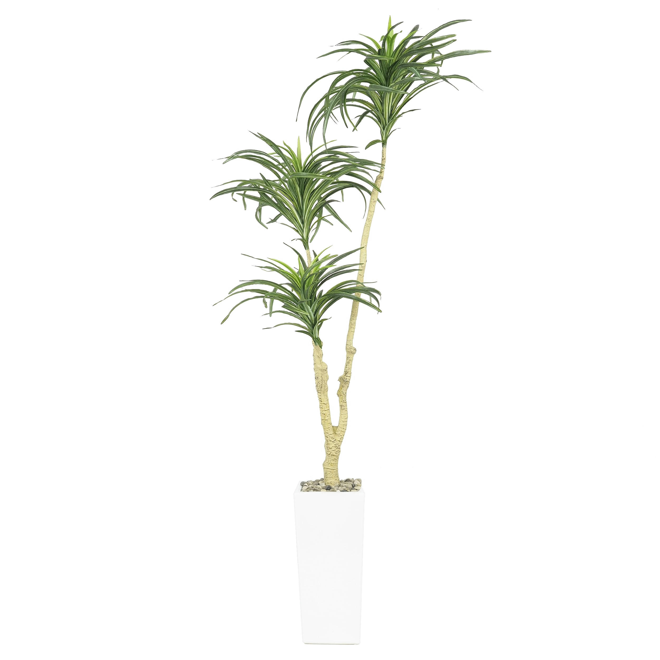 - Dracaena artificiel 135cm