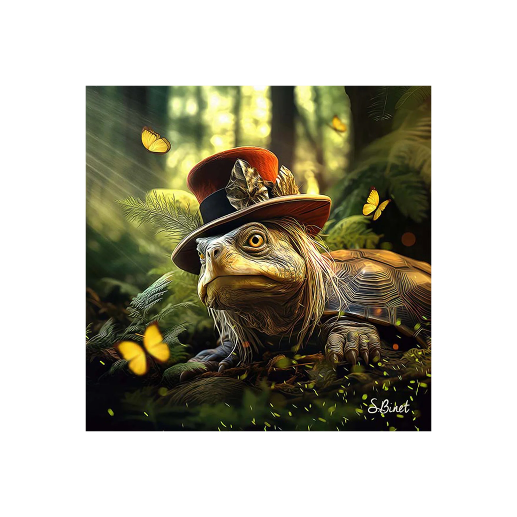 Tableau BINET TORTUE FANTASTIQUE coloris noir