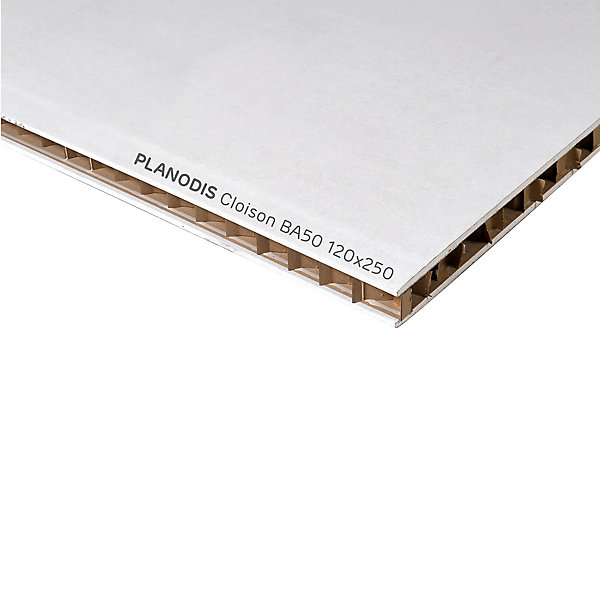 Cloison alvéolaire Planodis 250 x 120 cm, ép.5 mm (vendue à la plaque) zone « Nord »