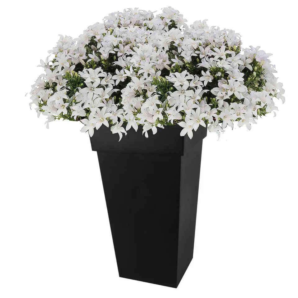 Eda Bloempot Toscane - kunststof - antraciet - L43 x B43 x H80 cm