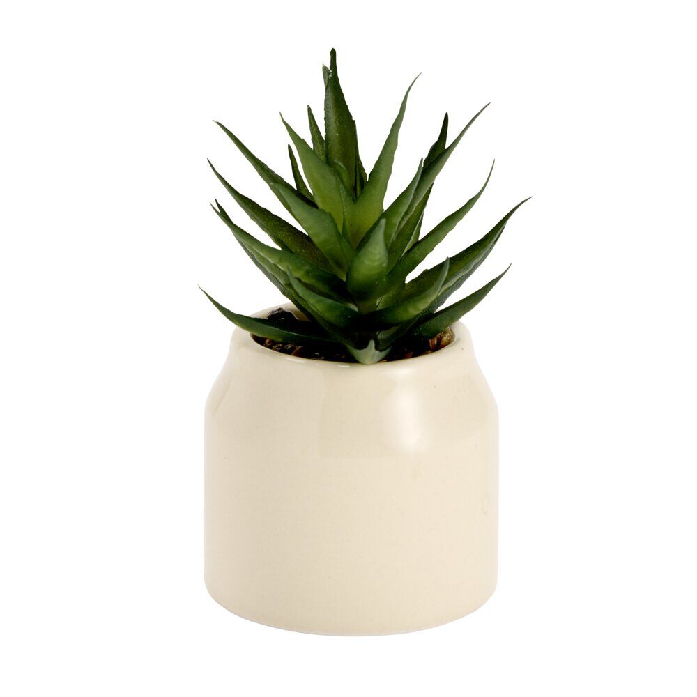Plante grasse artificielle dans pot dolomite uni Ø6xH8cm (4 modèles)