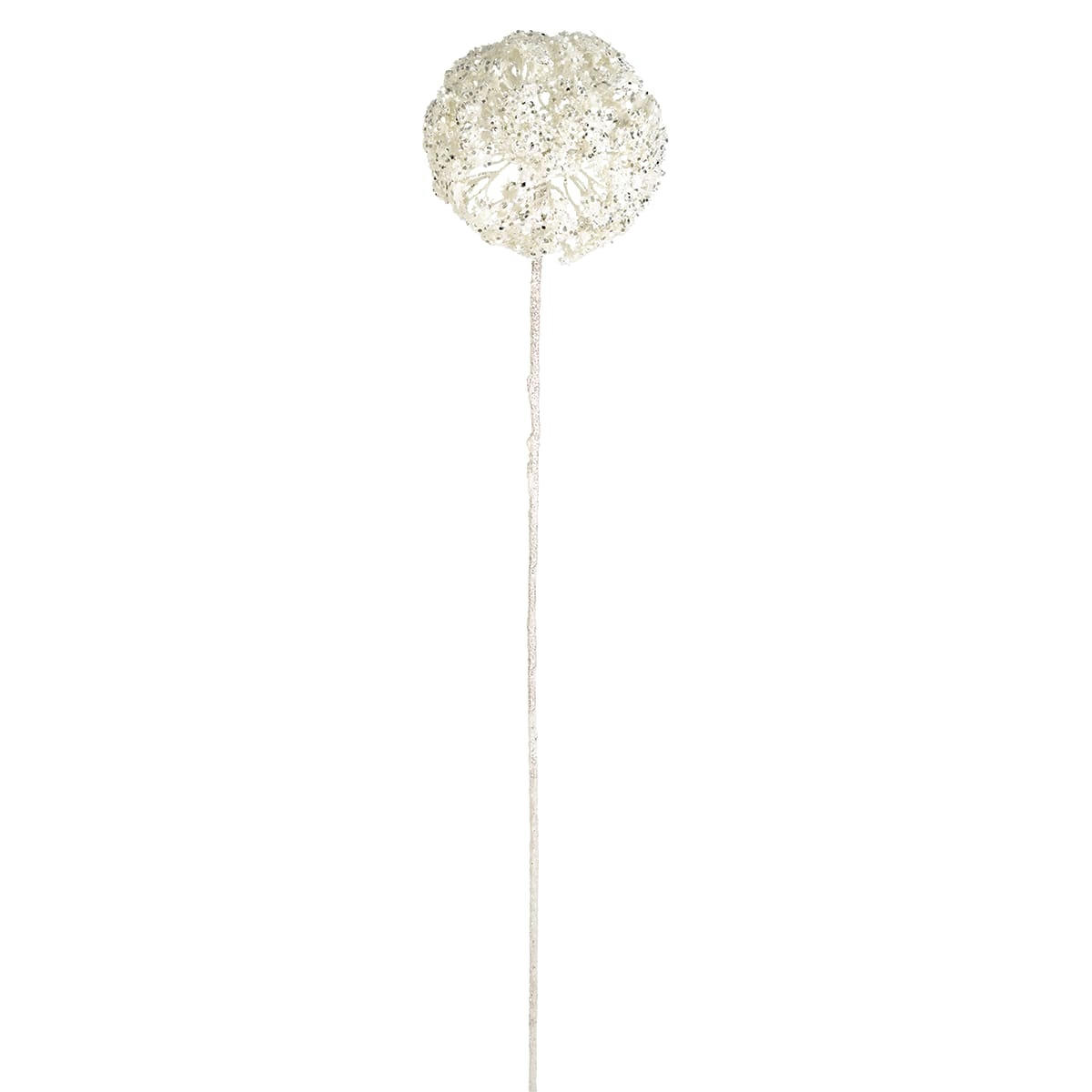 NOËL - Allium pailleté azia h90