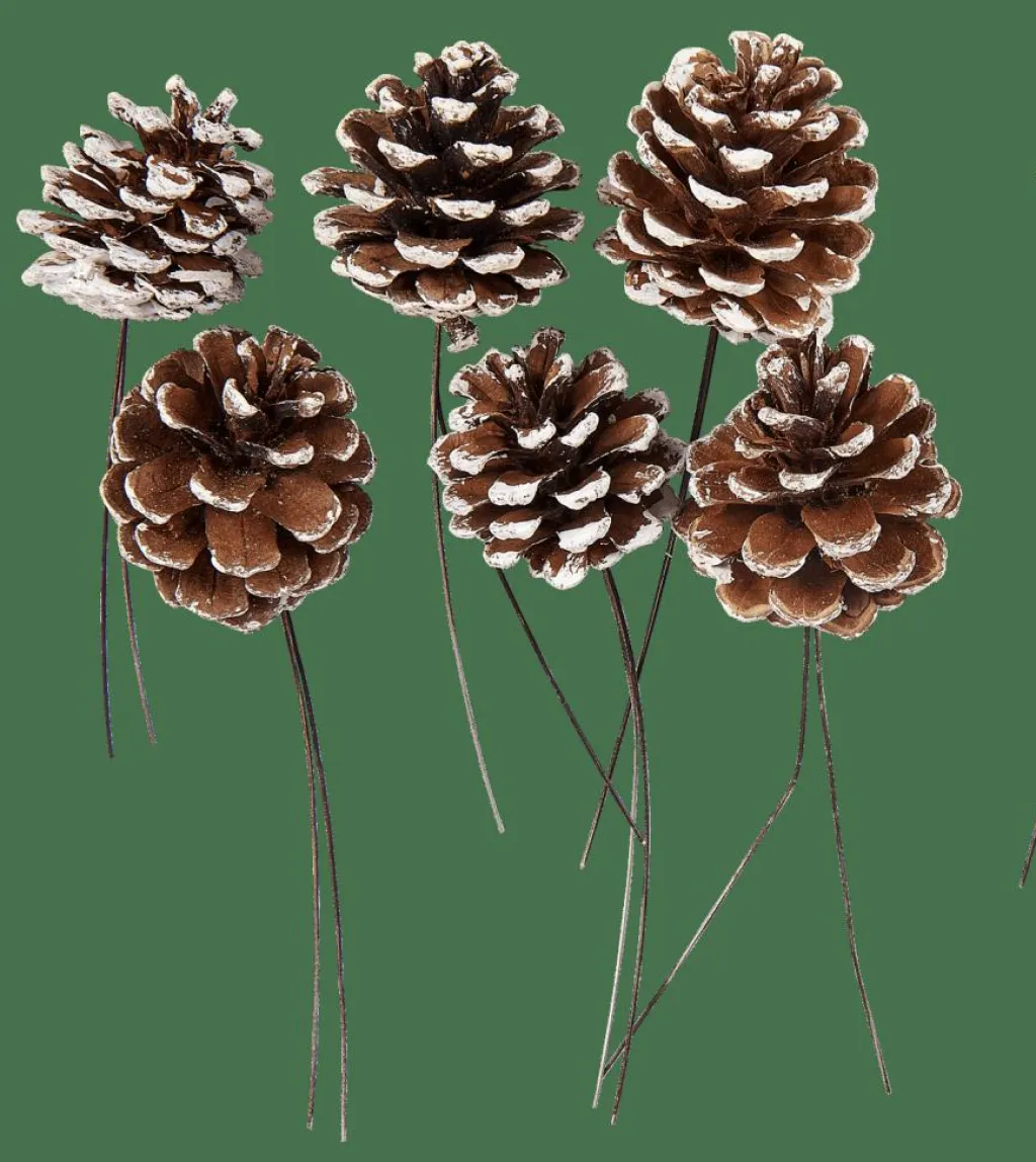 Automne^CASA PINECONE Pommes De Pin Set De 6 2 Couleurs Blanc, Argent