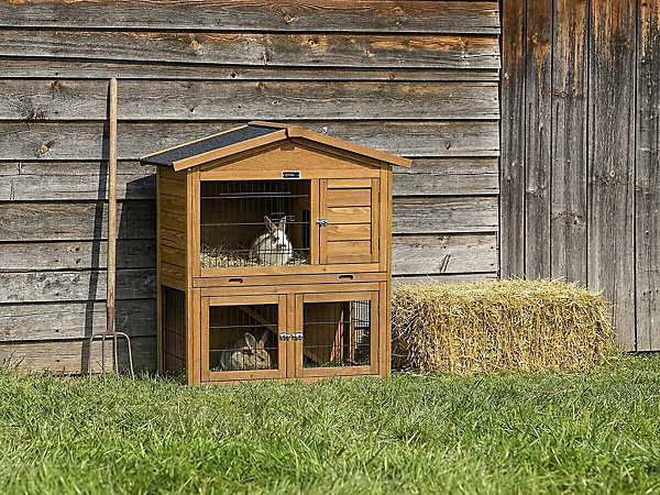 Clapier poulailler en bois 