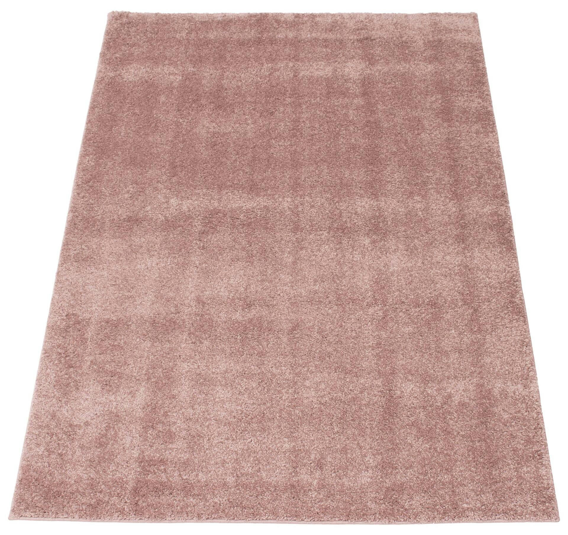 ECARPET Bellamy Indoor Area Shag Rug, Pink, Assorted Sizes