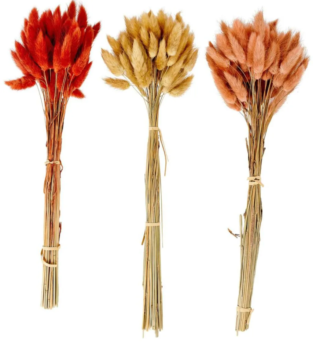 Fleurs Artificielles^CASA LAGURUS Lagure Ovale Brun