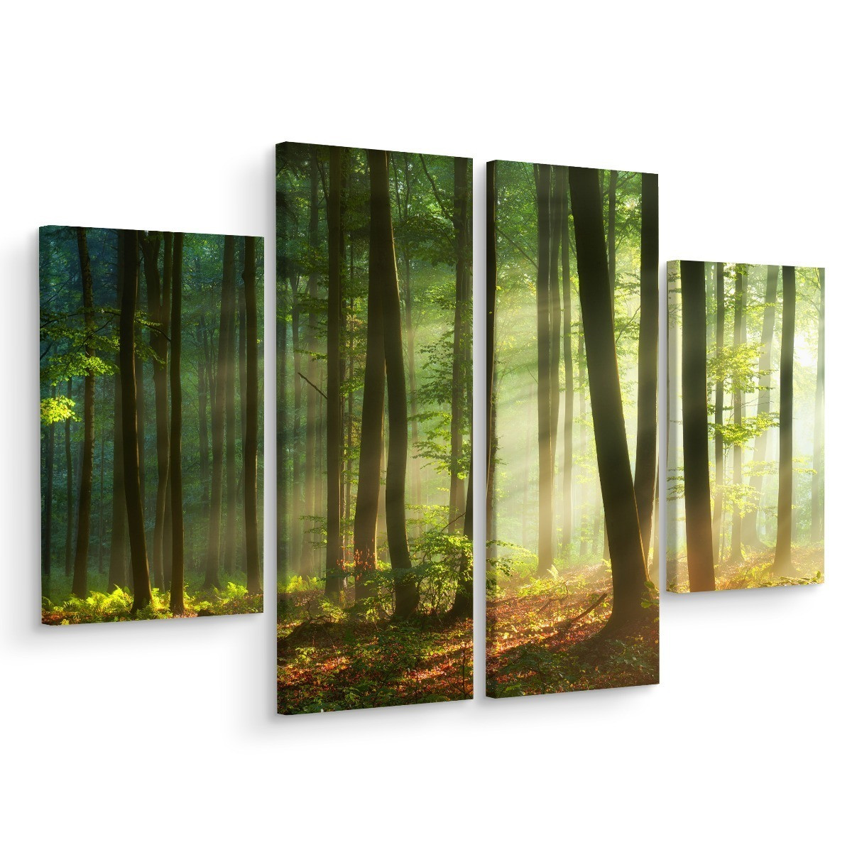 Obraz Tetraptyk Promienie słońca w lesie 80x60cm