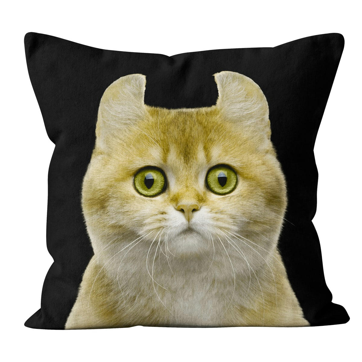 - Coussin chat suédine noir 40x40cm