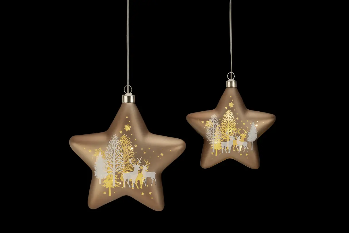 LED-Weihnachtsdeko 2er-Set Battery Light