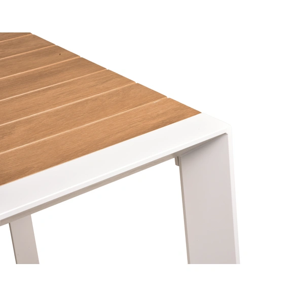 Gartentisch »VENICE«, BxL: 100 x 200 cm, Nonwood