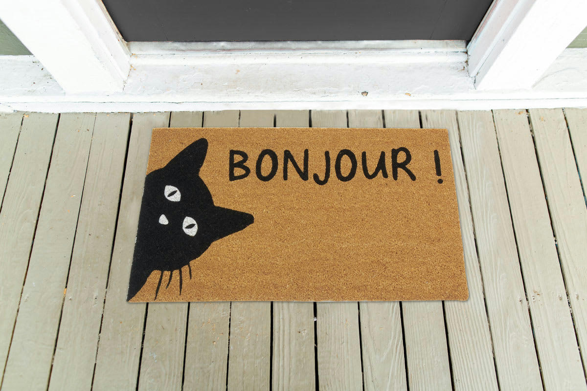 - Paillasson coco intérieur extérieur 75 x 45 cm chat bonjour