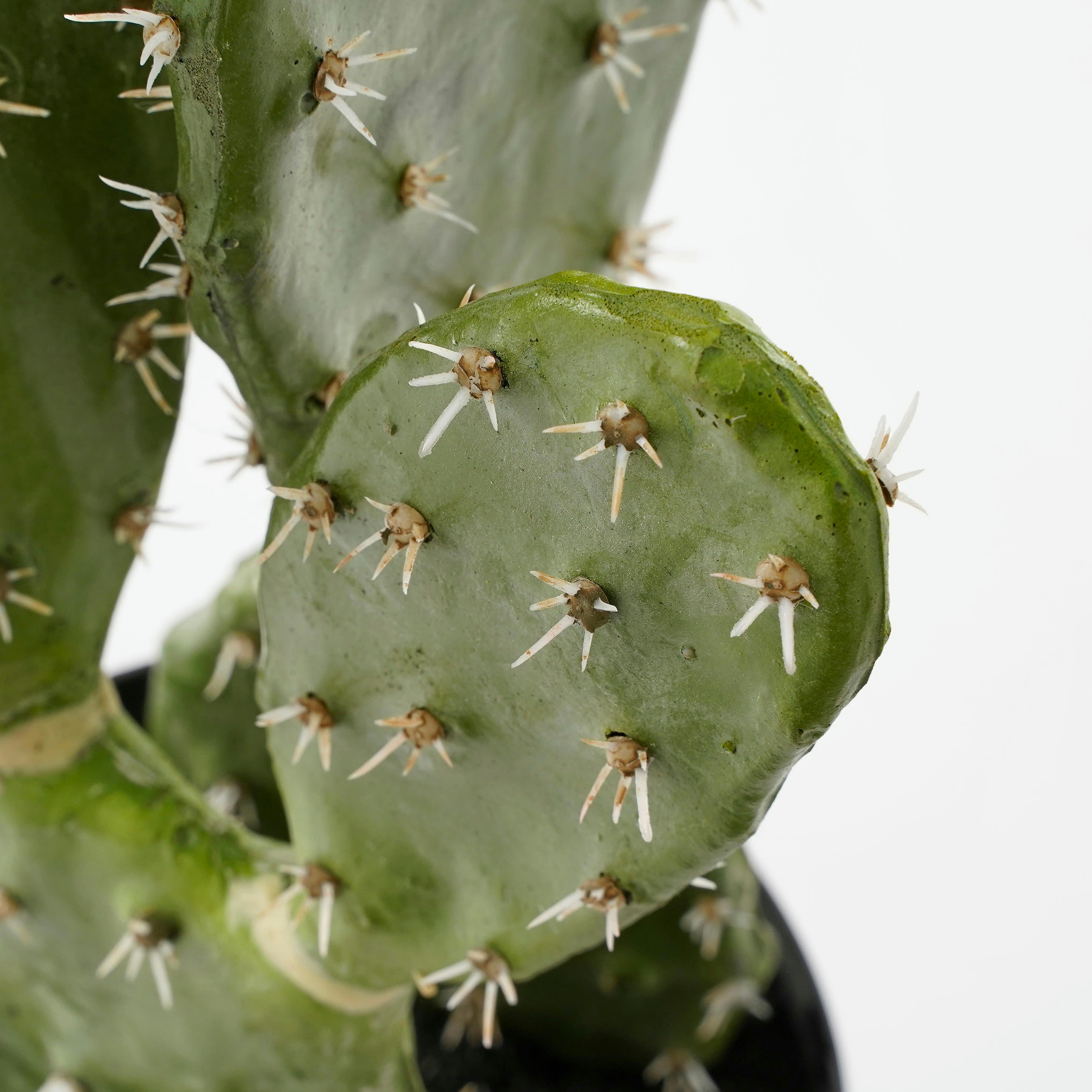 - Cactus artificielle vert en pot H50