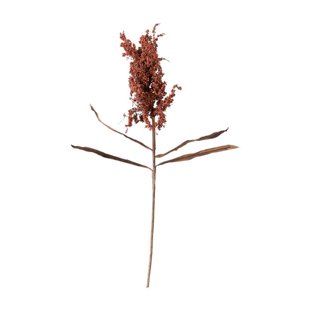 FLOR ALVORADA
