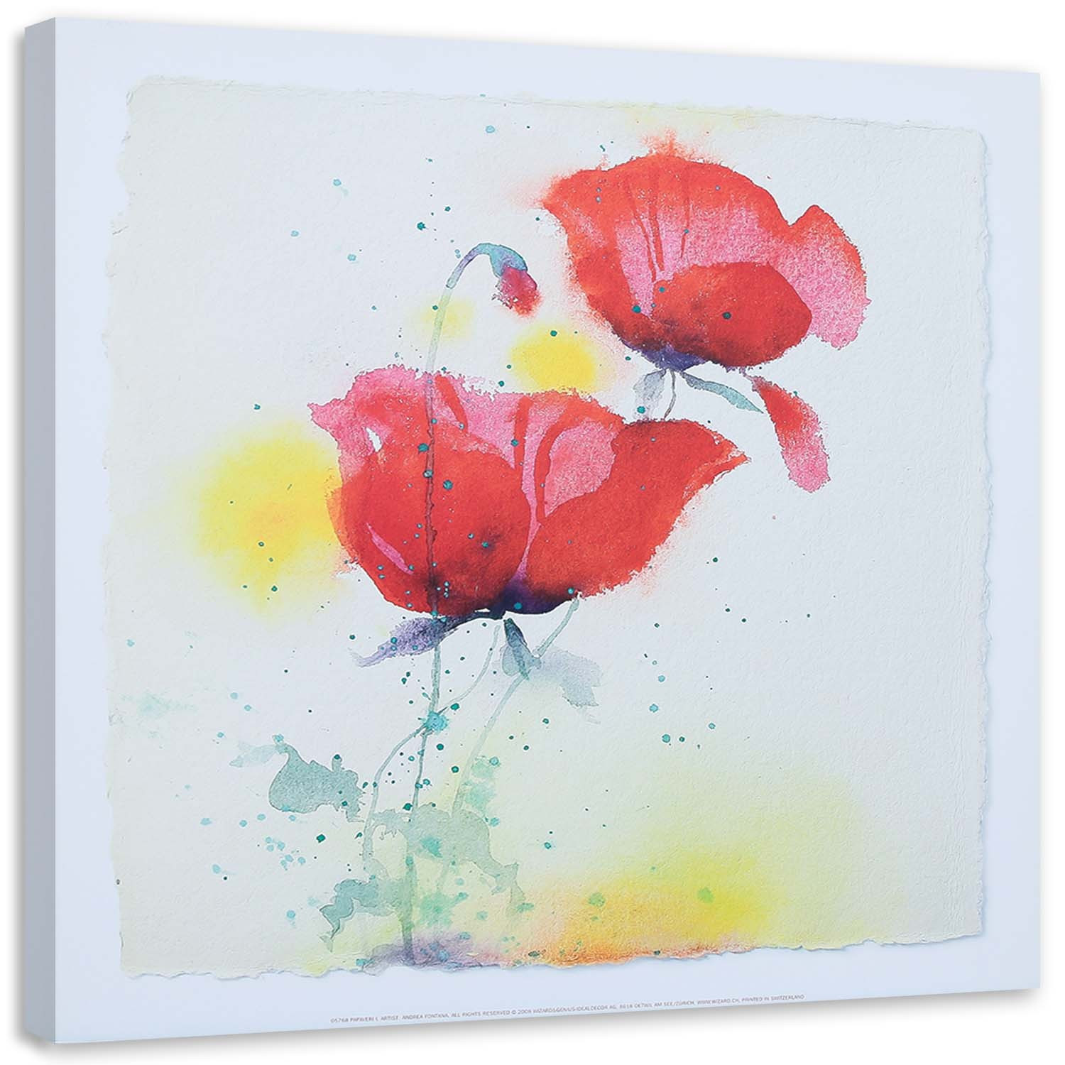 Feeby Obraz na płótnie Jak ręcznie malowane dwa maki 30x30