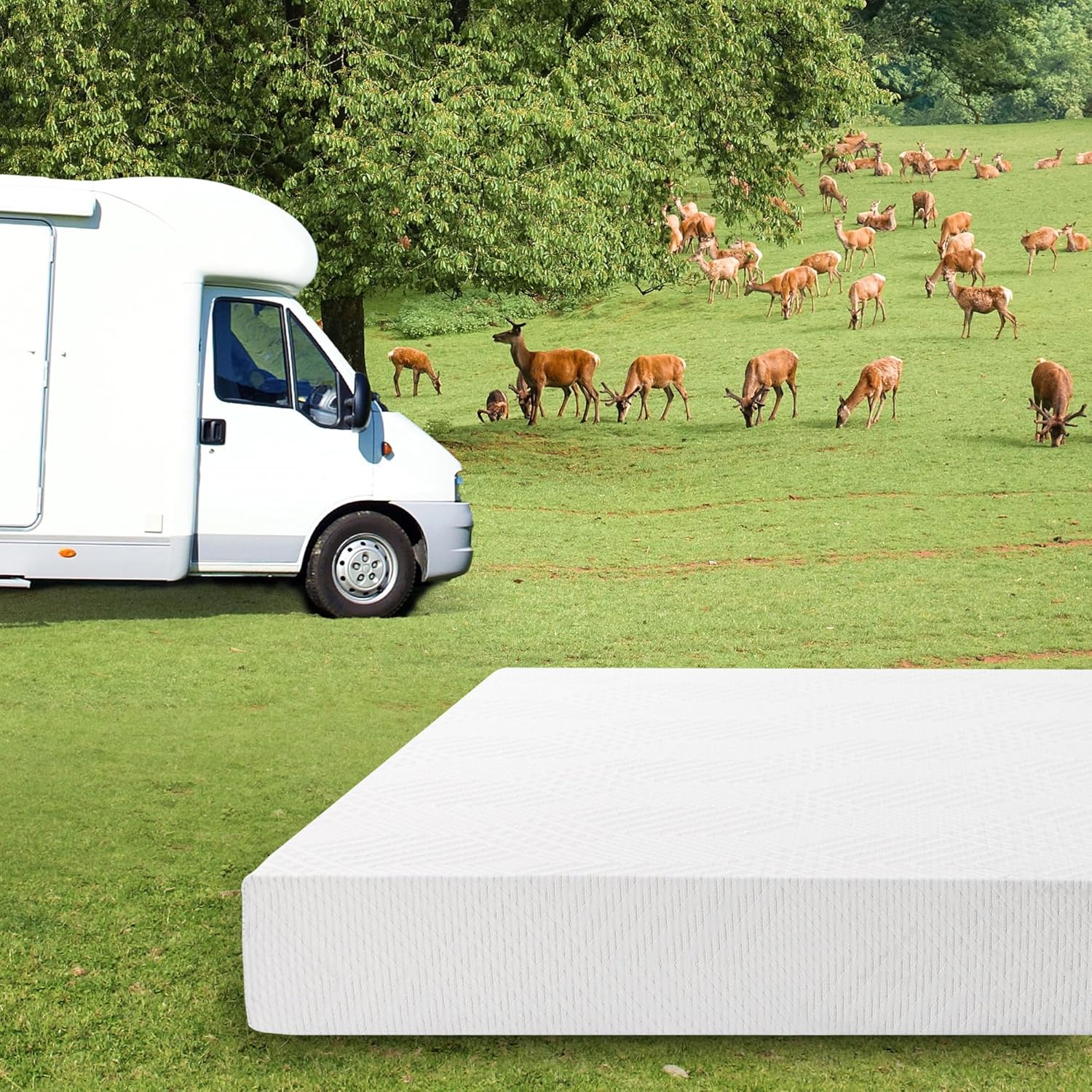 EGO White 10 Inch Short Queen Memory Foam RV Mattress, Cooling Gel Green Tea Mattress for RVs, Campers & Trailers, Bed in a Box, CertiPUR-US Certified, 60x75, Medium Firm