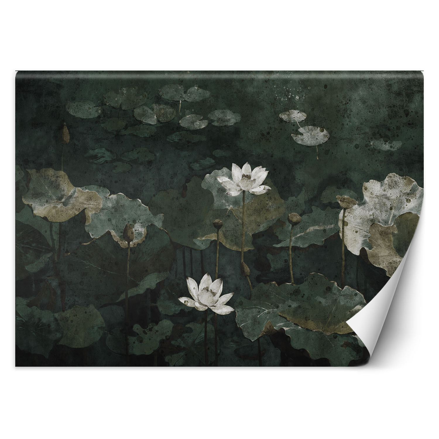 Feeby Fototapeta, Lilie wodne vintage 150x105