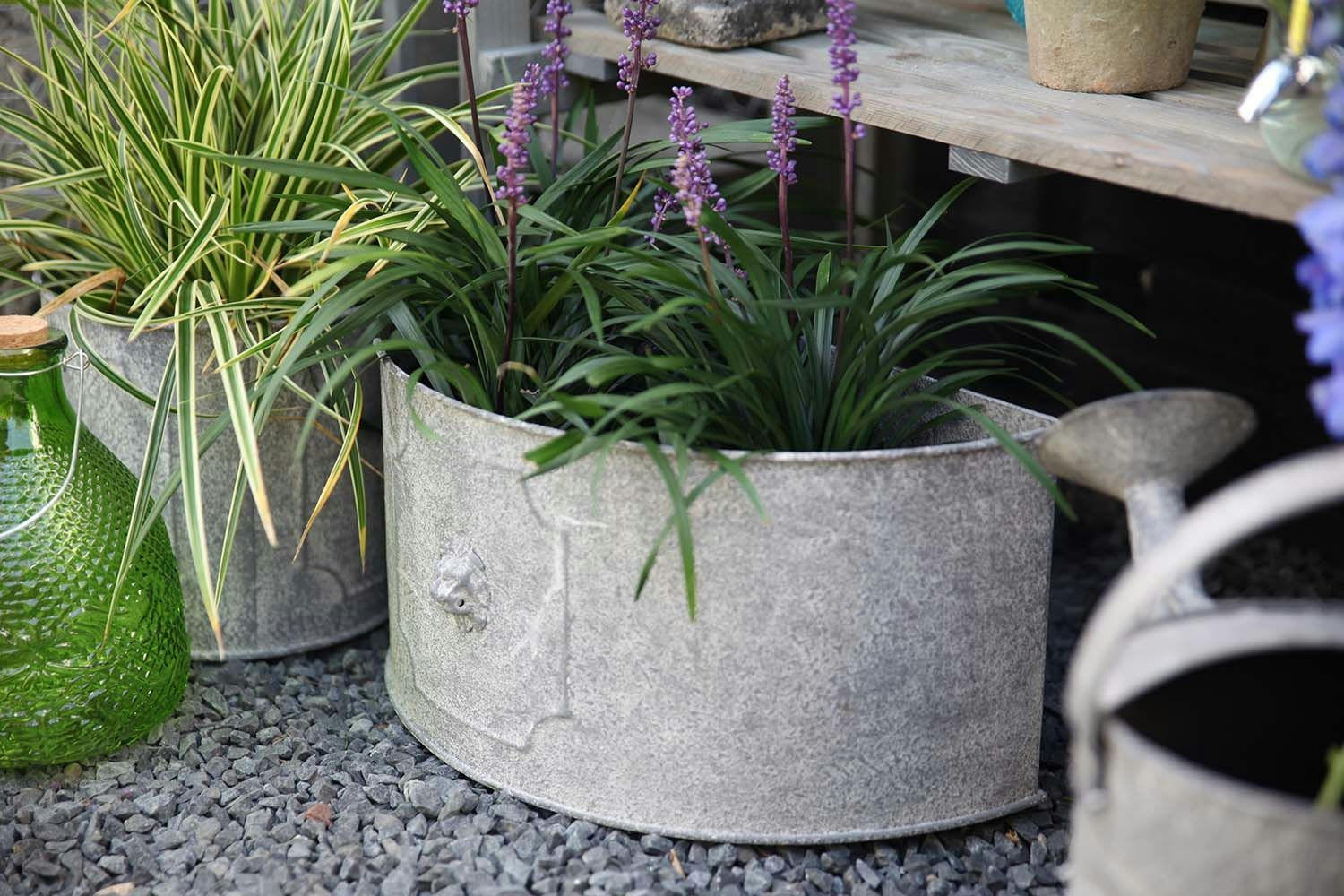 - Pot de fleurs demi-rond lion (lot de 2)