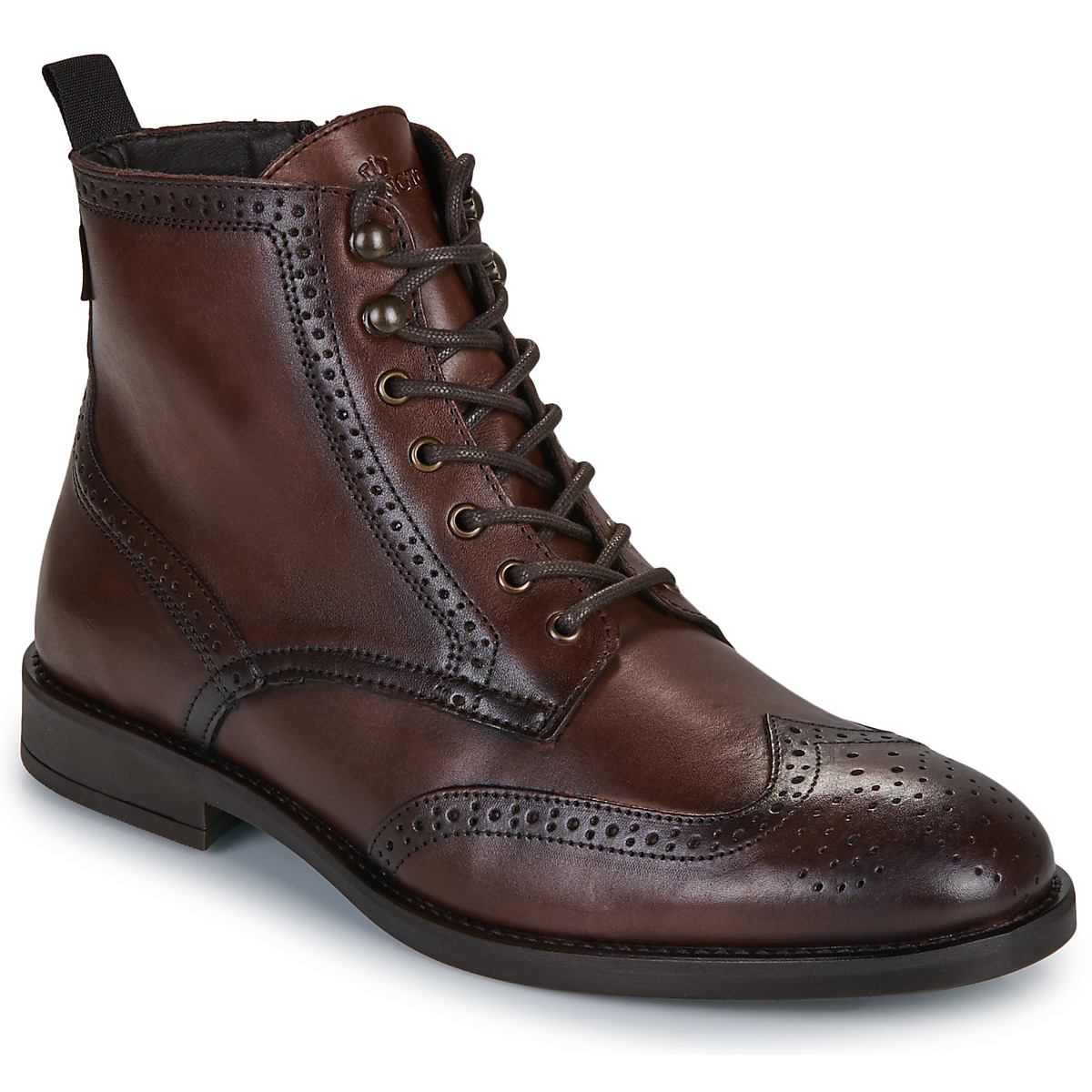 Carlington - LOUPIN - Brown