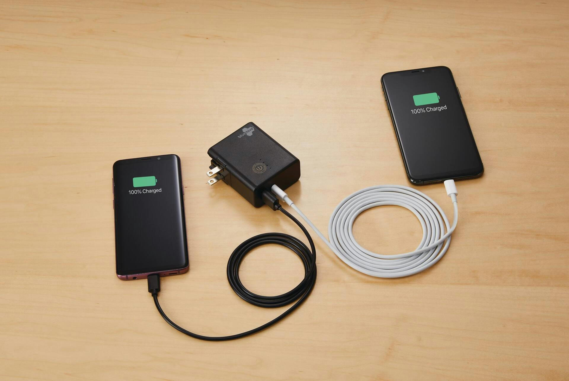 Bluehive 2-in-1 Power Bank with Wall Charger, 5,000-mAh, Compatible with Most Devices
