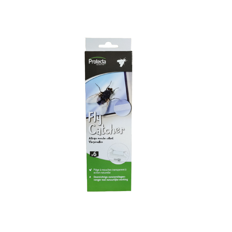 Attrape mouche pour fenêtre Fly Catcher Strip