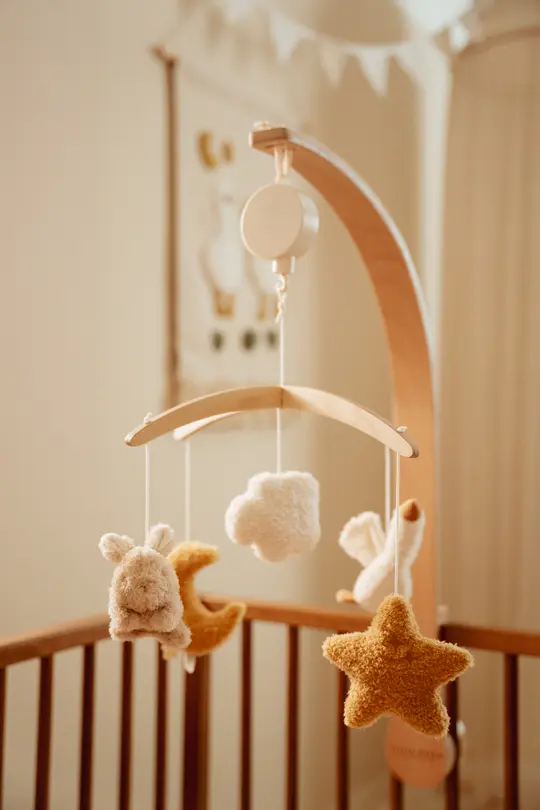 Mobile Little Newborn