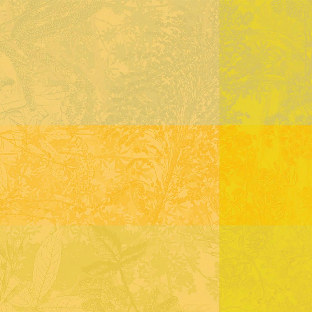 MILLE ESPRIT JARDIN SOLAIRE - Serviette  pur coton jaune 55x55