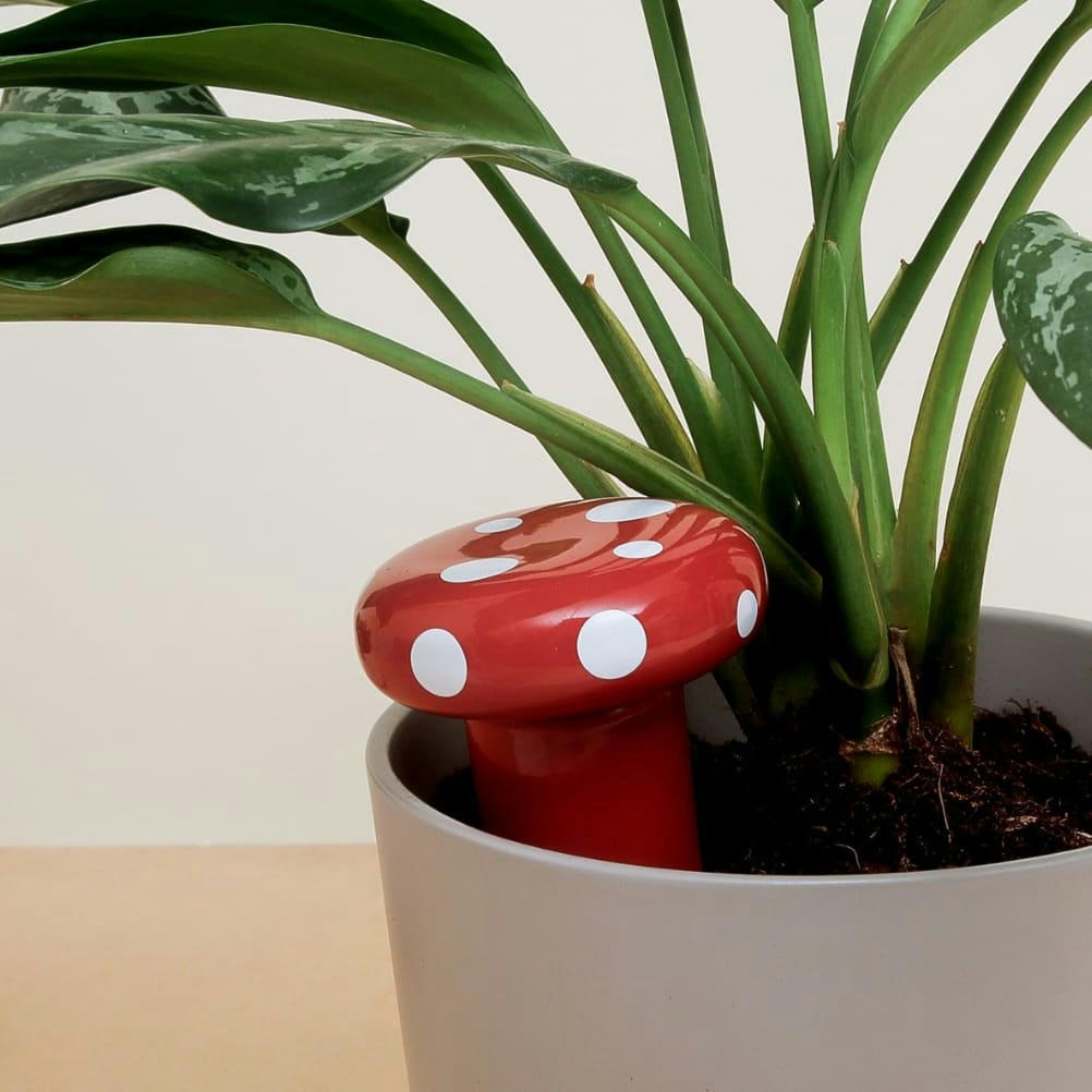 - Arroseur champignon