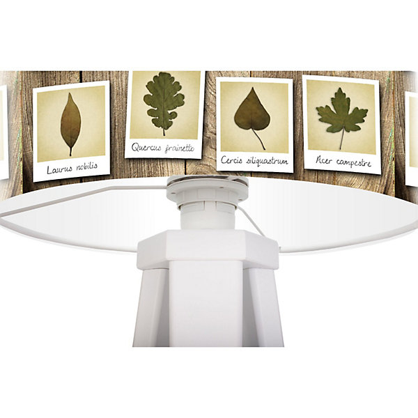 Lampe de chevet bothanica foto-147 30 x 30 x 45 cm Blanc, multicolore