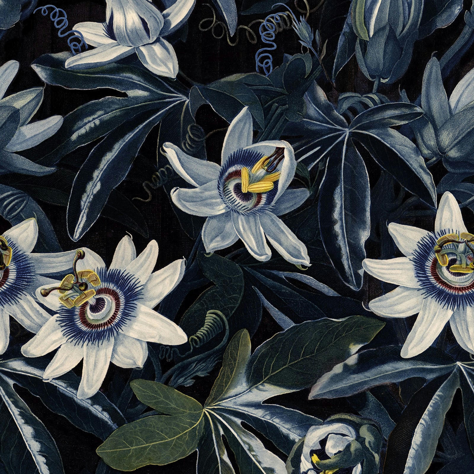 - Papier peint panoramique fleurs de la passion bleu 280x200cm