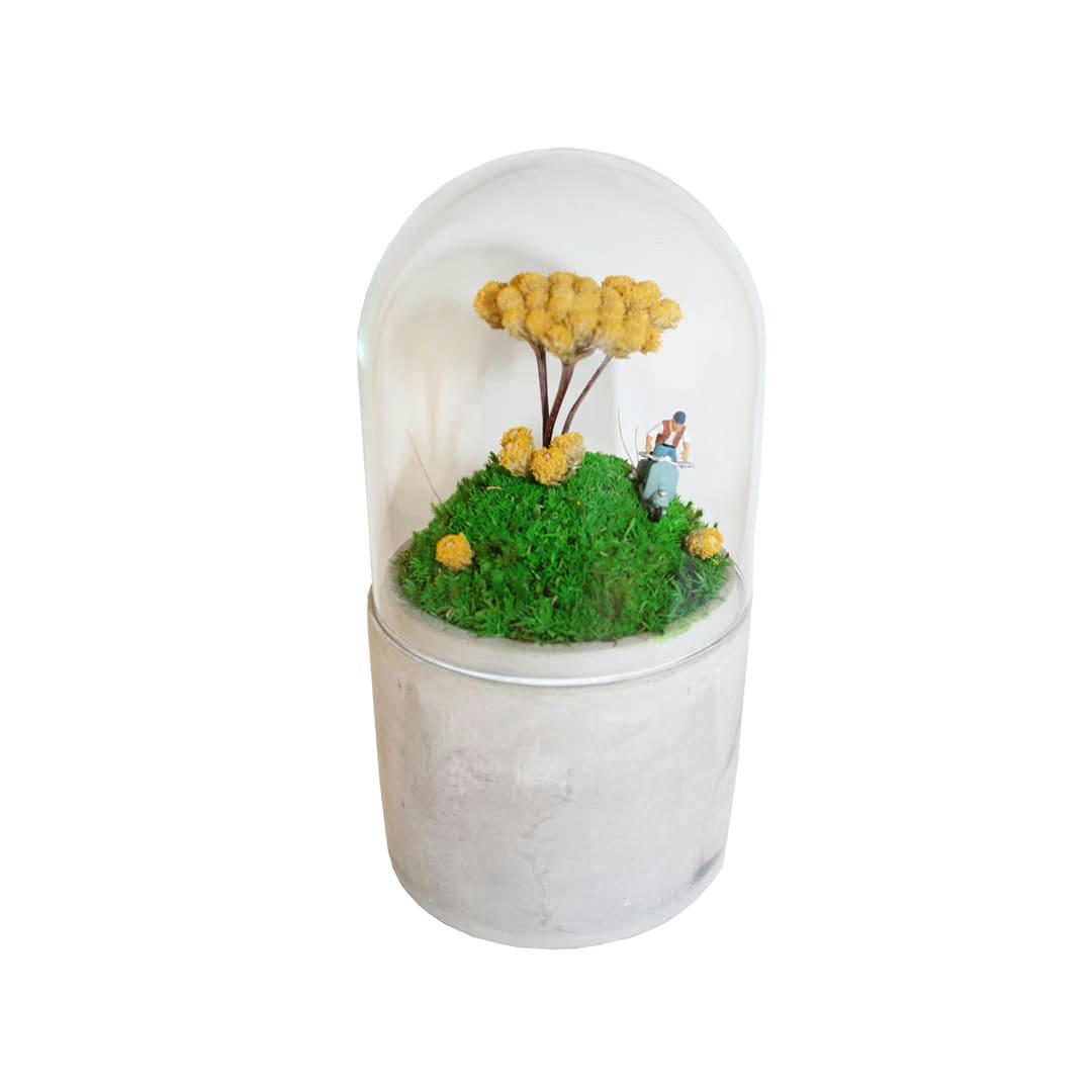 - Mini jardin sous cloche en verre fleurs roses H.16cm