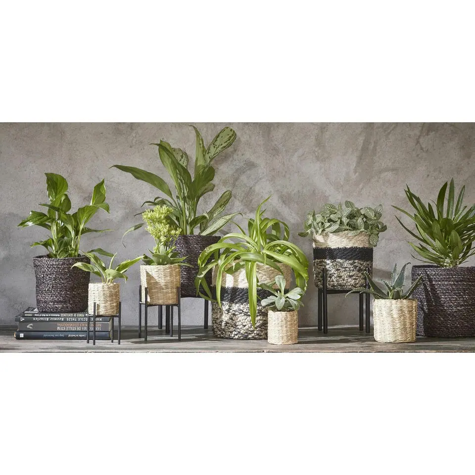 Mica Decorations Bloempot - rotan - zwart - jute - 20 x 20 cm